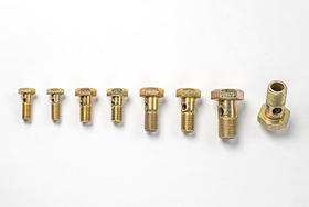 油孔螺栓(鉸接螺栓)